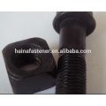 Flange Bolt With Square Nut M20